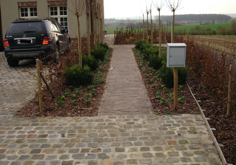 anzegem platines kleiklinkers