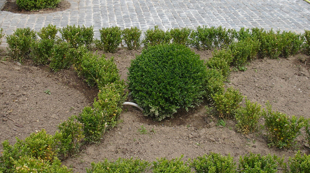 oudenaarde mozaiek porfier