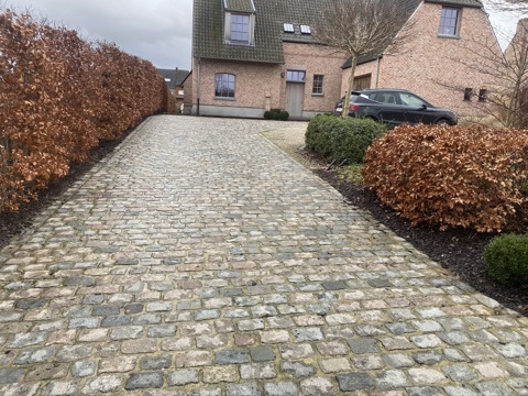 geraardsbergen Kasseien porfier rechthoekig