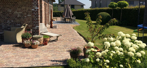 brakel terras waaltjes