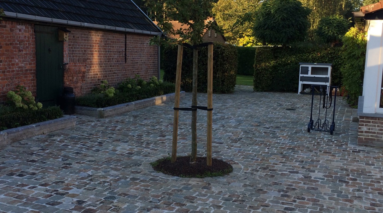 hulst Gres vierkante kasseien