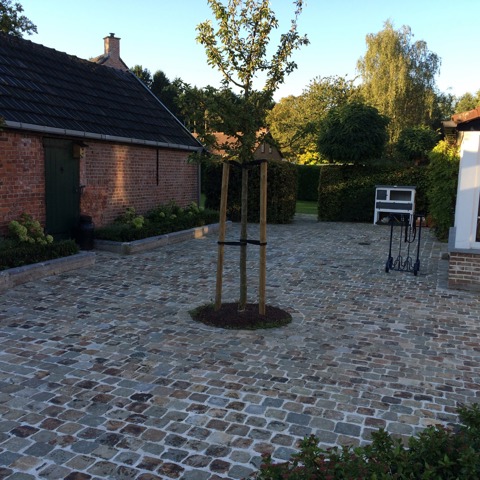 hulst Gres vierkante kasseien