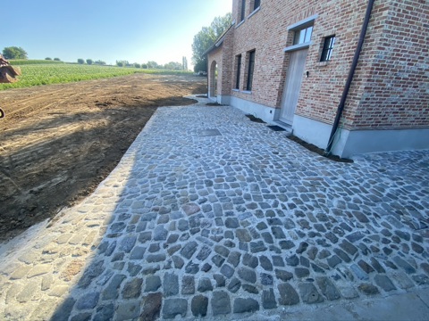 herzele Boerenkasseien wildverband