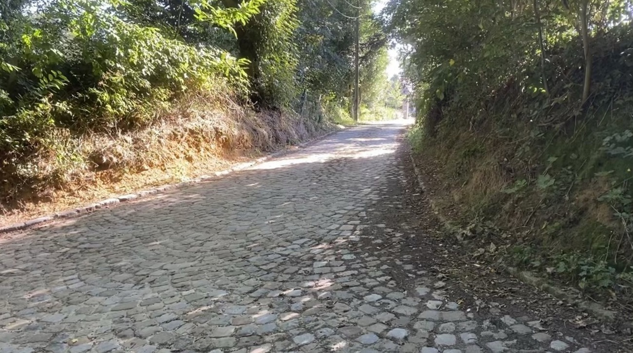 heuvelland Boerenkasseien in waaierverband