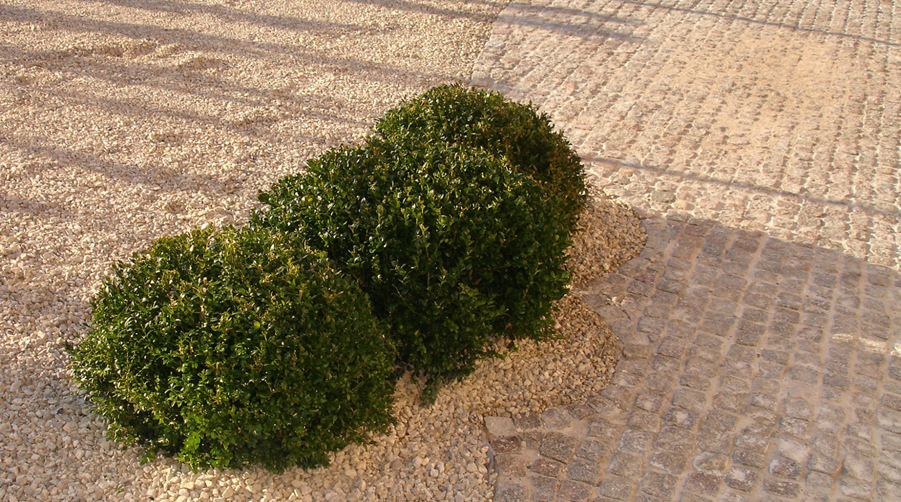 deinze zweedse mozaiek