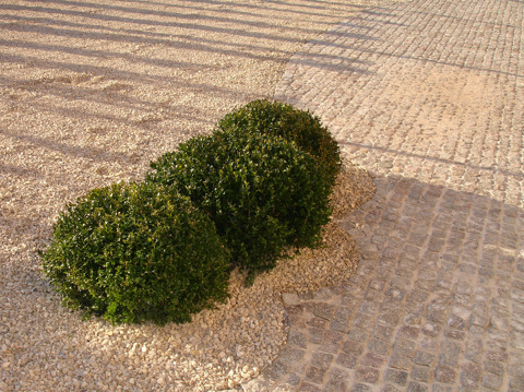 deinze zweedse mozaiek